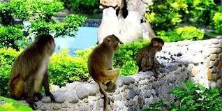 http://NHA%20TRANG%20TOUR%20(6%20DAYS/5%20NIGHTS)