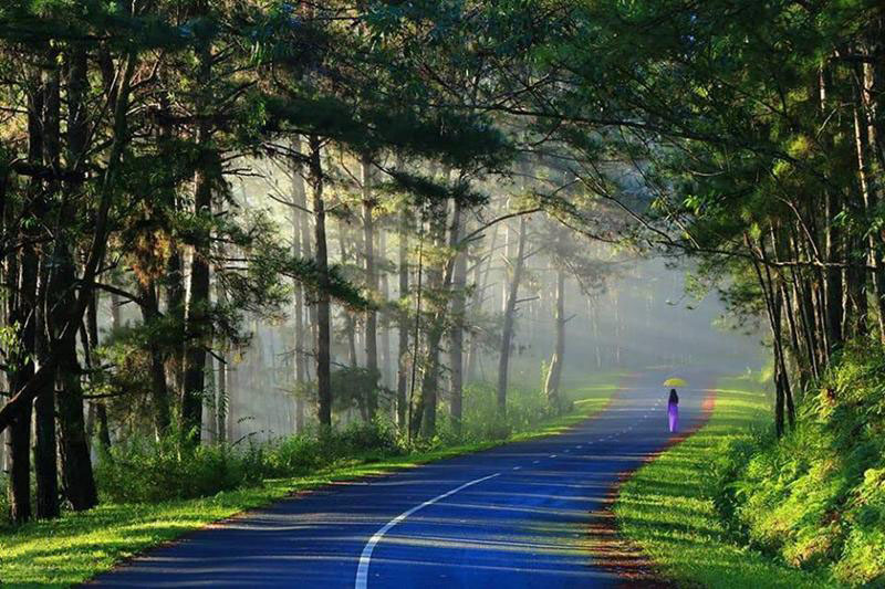 (CODE: NV251022.11) NHA TRANG – ĐA LAT –HO CHI MINH – TAY NINH (7 days – 6 nights)